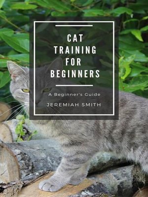 cover image of Cat Training For Beginners